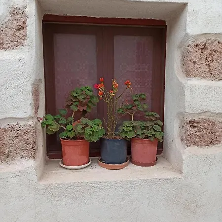 Stone House In The Center Of The Village Apartment Zakros